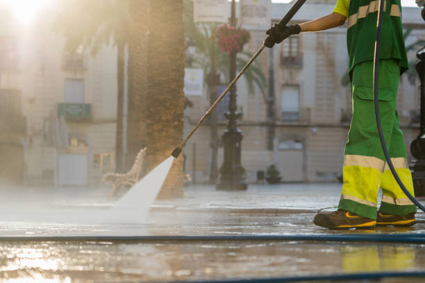 Best Pressure Washing Driveway  in Vandenberg Village, CA